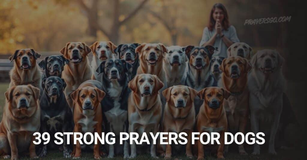 Prayers For Dogs
